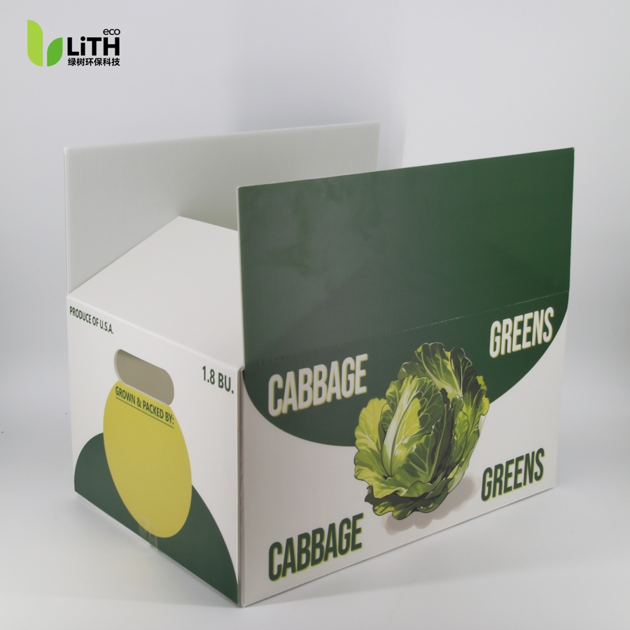 Cabbage packaging box