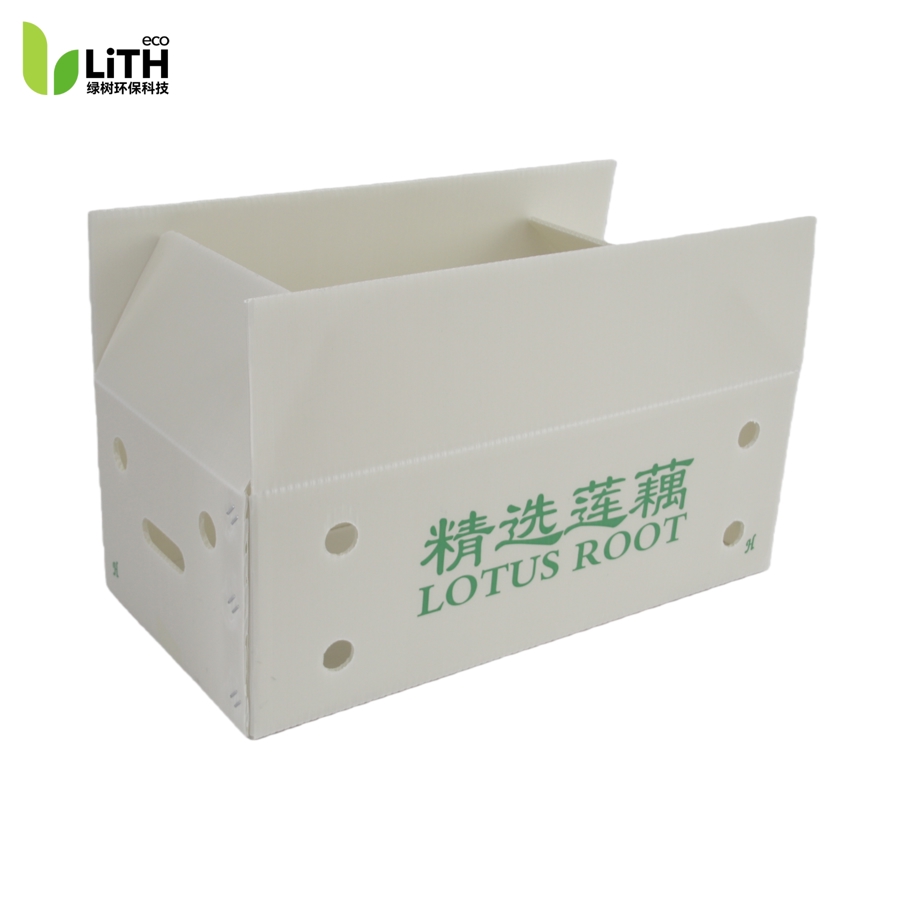 Lotus Root Box