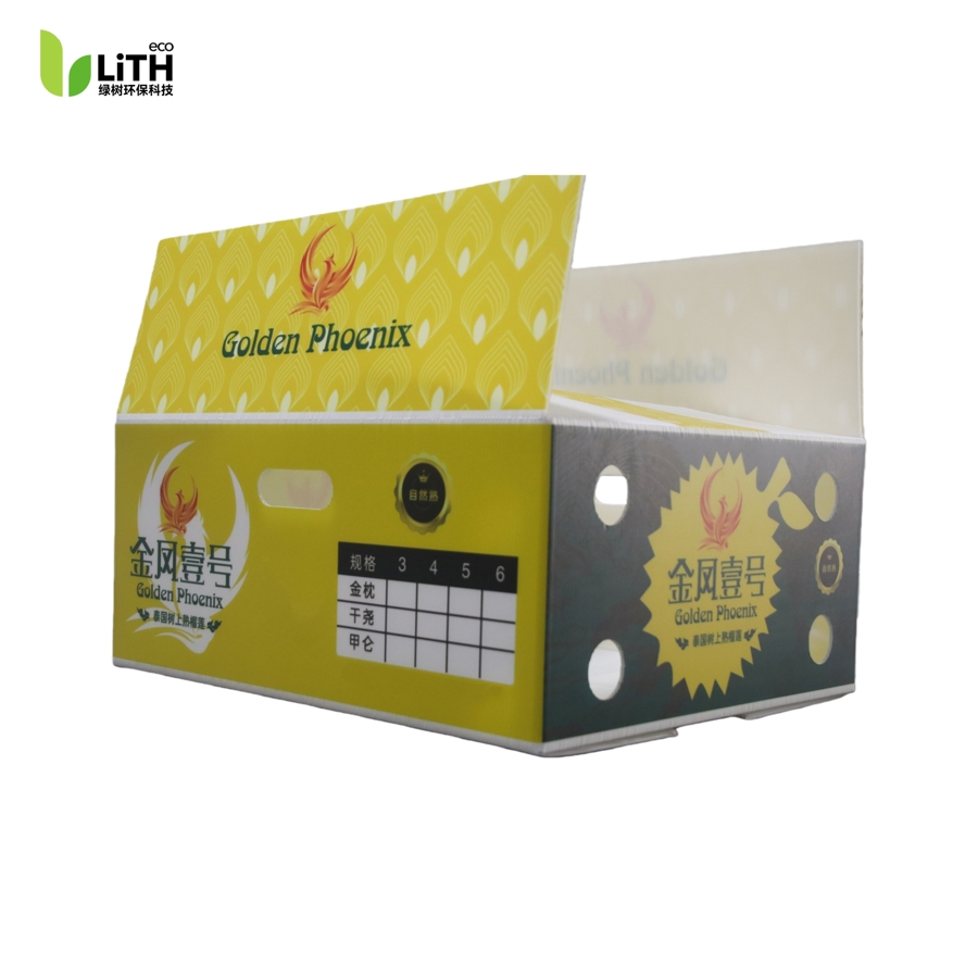 Durian Hollow Board Box