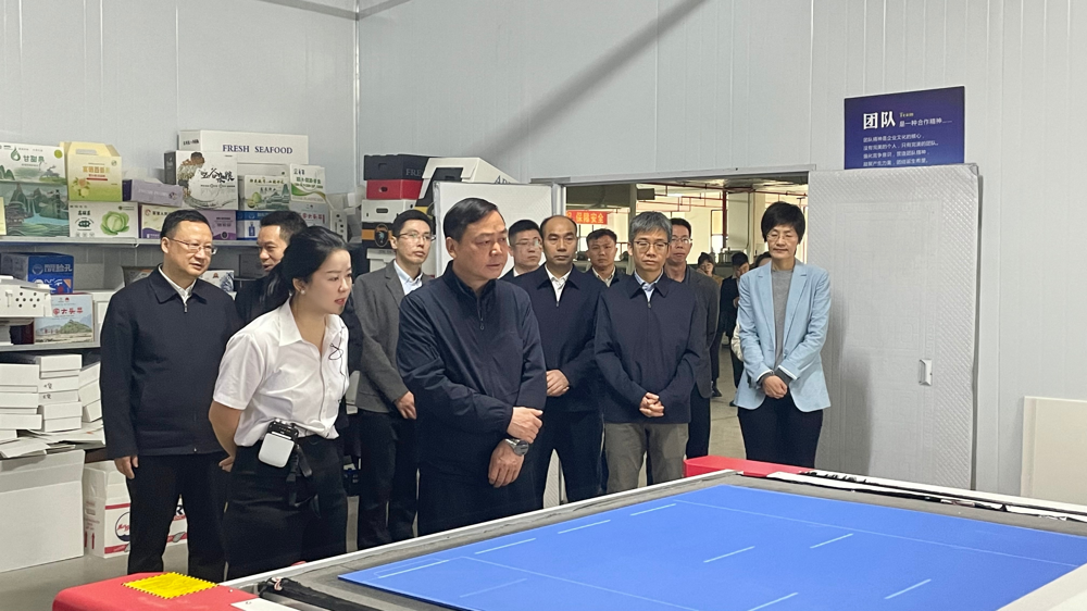 市政府主要领导莅临绿树公司考察调研