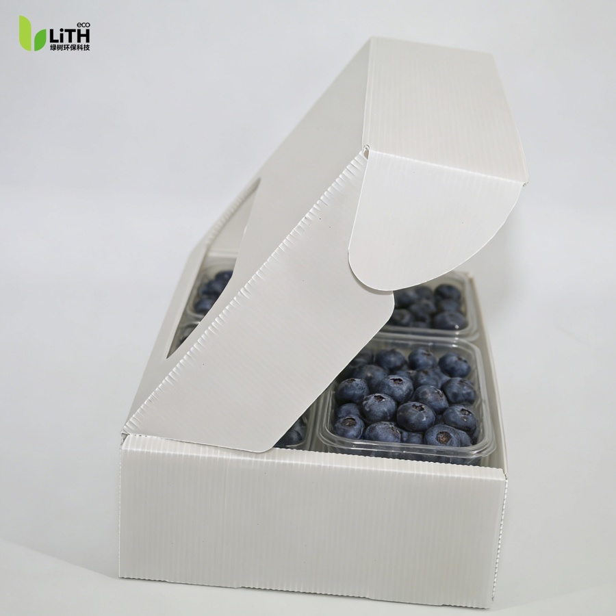 Blueberry Foldable PP Box