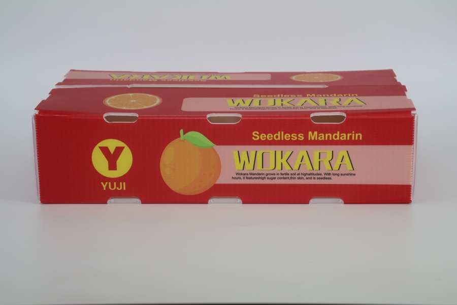 Citrus Manderin Stackable Box