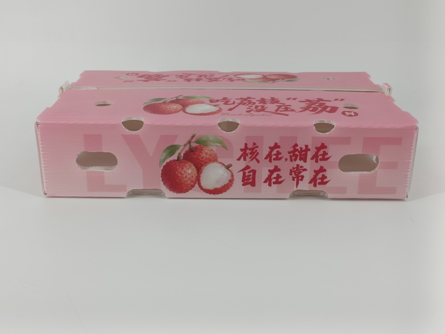 Best-selling Eco-friendly Hollow Board Lychee Box 2.5kg Capacity