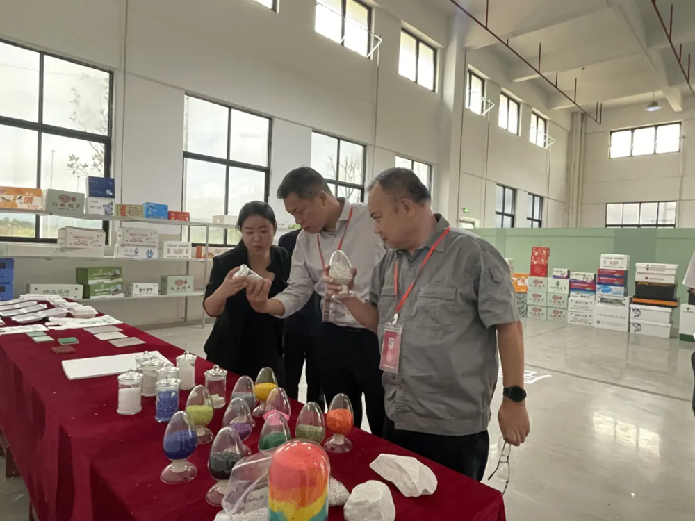 广西真龙实业到访我司开展商务交流活动