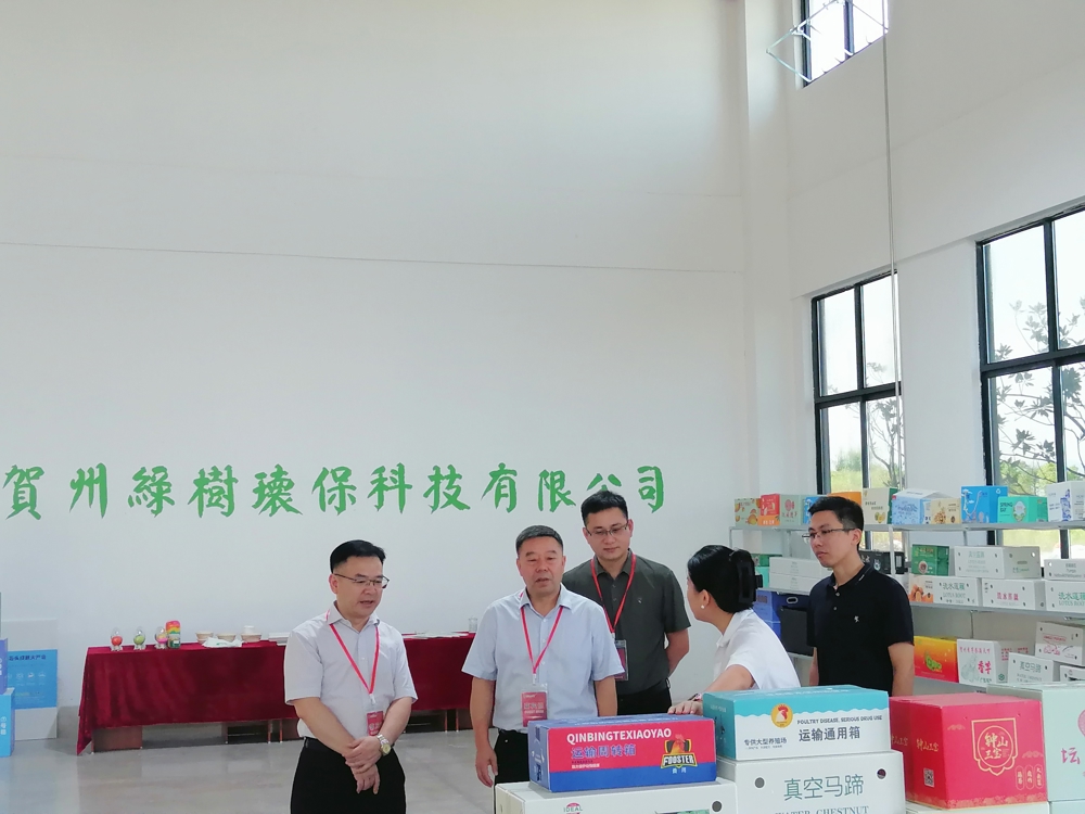 贺州市交通运输局领导莅临绿树公司考察调研